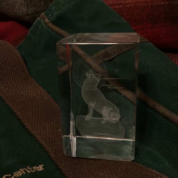 DuluthPack International Wolfe Center, Ely, MN USA tote. 24 years old/broke in. - Picture 10 of 10